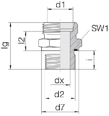 Соединение для труб штуцерное прямое коническое 24-SDS-S20-G1E