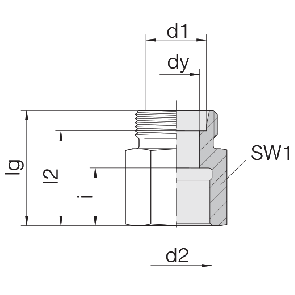 Соединение для труб переходное прямое 24-S-S6-IG1/4