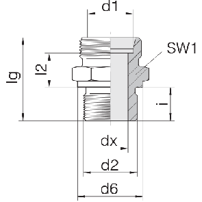 Соединение для труб штуцерное прямое коническое 24-SDS-S25-G11/4B